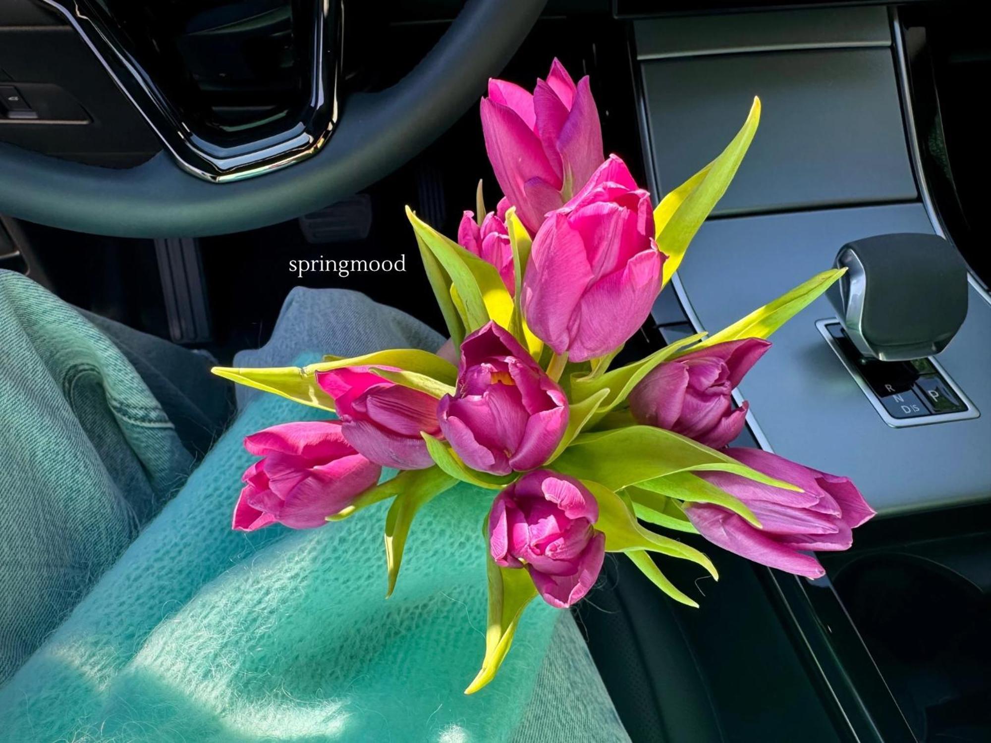 Vila Garufa Wellness & Spa วิสโซเค ดาตรี ภายนอก รูปภาพ
